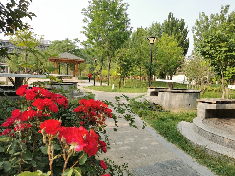 邯鄲北方職業(yè)技術教育學校五月校園環(huán)境
