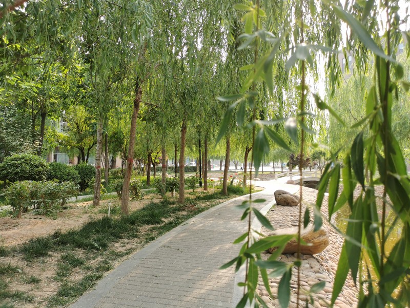 邯鄲北方職業(yè)技術教育學校五月校園環(huán)境