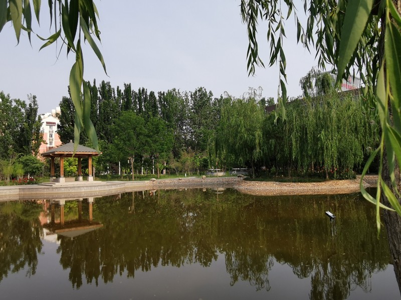 邯鄲北方職業(yè)技術教育學校五月校園環(huán)境